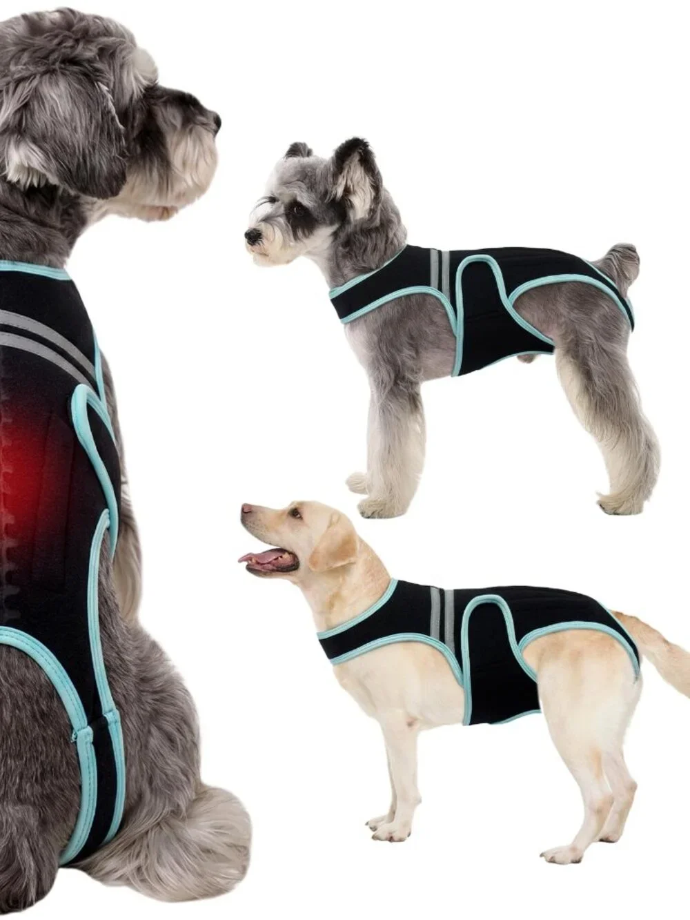 Dog Back Brace Black Medium N3014